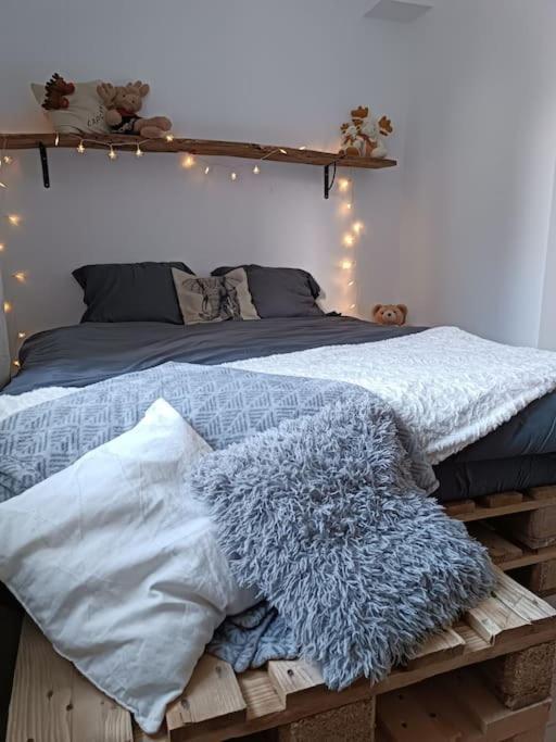 T2 Ultra Cosy En Hypercentre Lägenhet Tarare Exteriör bild